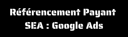 Référencement Payant SEA<br>Google Ads