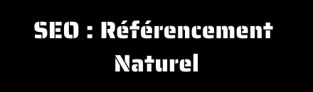 SEO <br> Référencement Naturel
